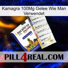 Kamagra 100Mg Jelly How To Use 11